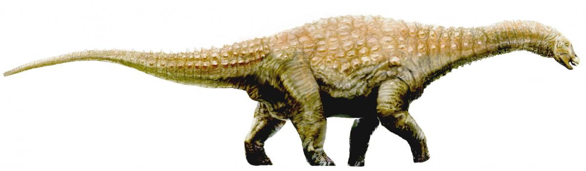  Diamantinasaurus