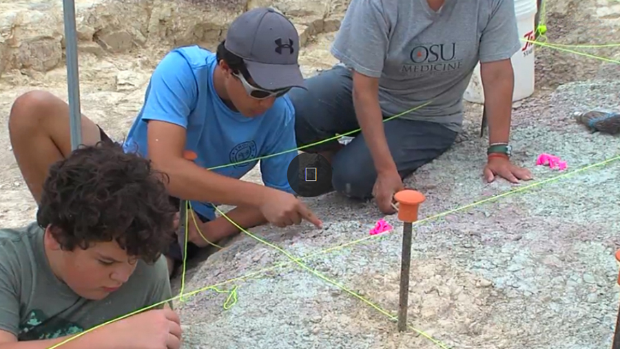 Dino dig: Oklahoma students get rare opportunity to study fossils (KTUL)