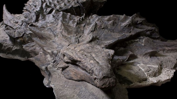 Dinosaur Unearthed in Fort McMurray Oilsands was Carried to Watery Grave by ‘Bloat and Float’