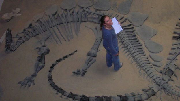 Dr Maidment studying a Stegosaurus specimen at the Prehistoric Museum in Price, Utah. DR SUSANNAH MAIDMENT