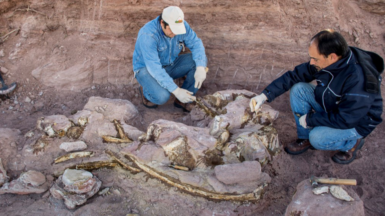Fossil of Thailand’s Biggest ever Dinosaur Found