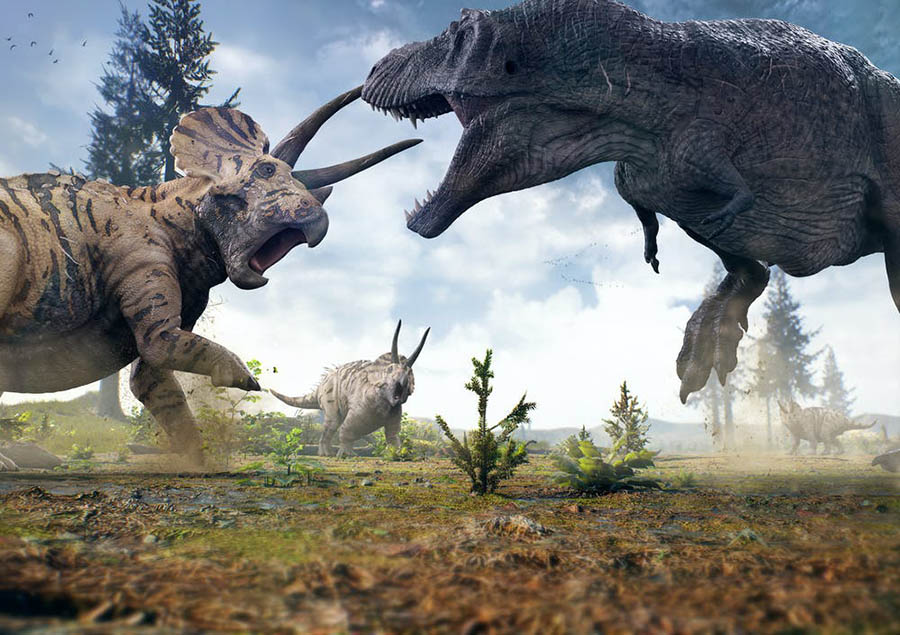 Fossils suggest face-offs between T. rex and Triceratops were common. Shutterstock