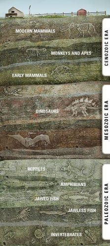 Geological Timeline by Ray Troll
