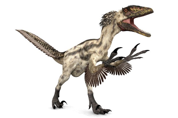 Deinonychus was closer in size to the Velociraptors seen in Jurassic Park © MR1805 / Getty Images
