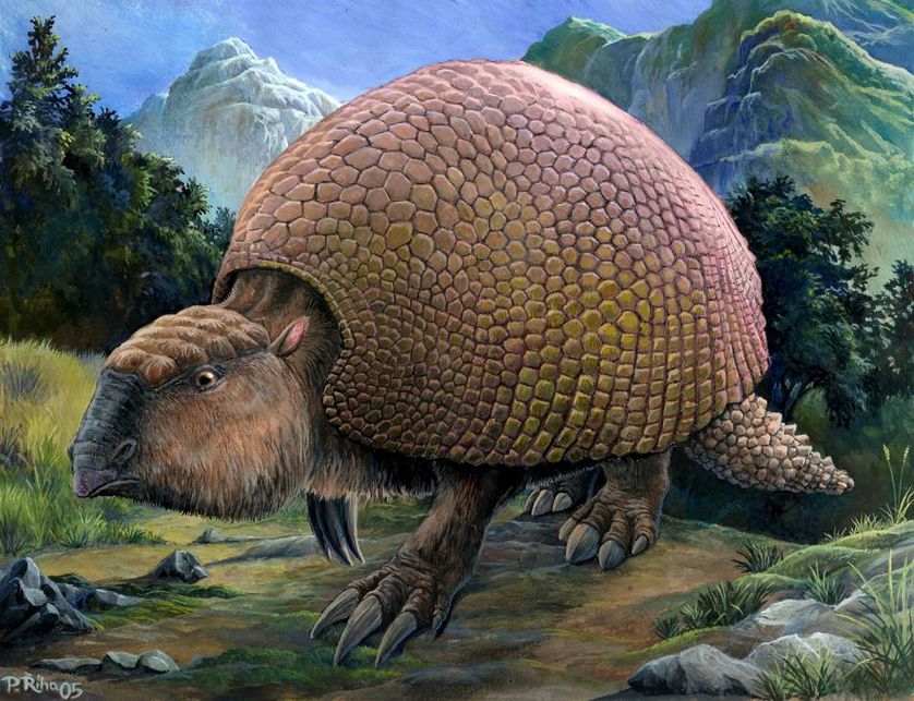A relative of modern-day armadillos, glyptodons were armored mammals roughly the size of a Volkswagen Beetle that became extinct around 10,000 years ago. (Photo: Pavel Riha/Wikimedia Commons)