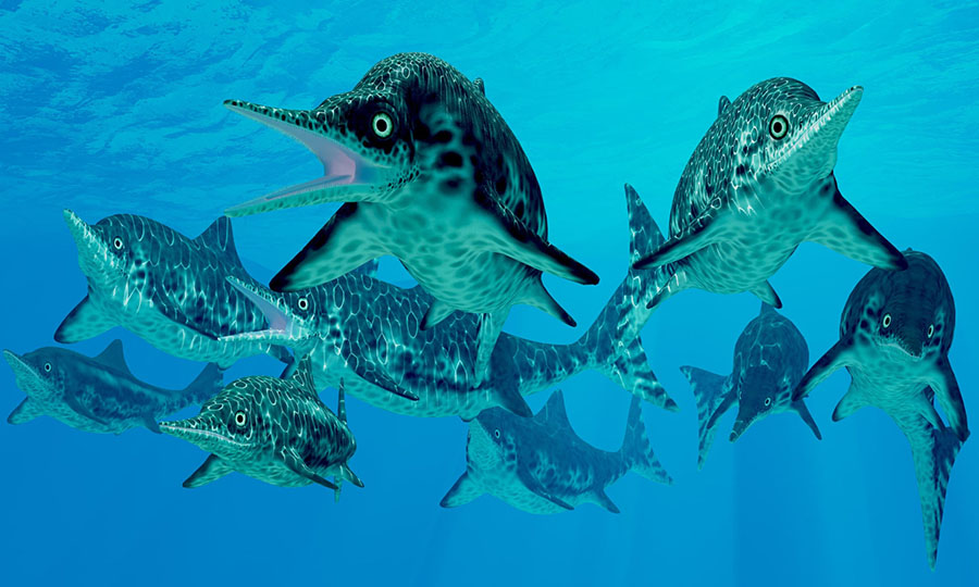  Ichthyosaur, a marine carnivorous reptile. Photograph: Corey Ford/Alamy