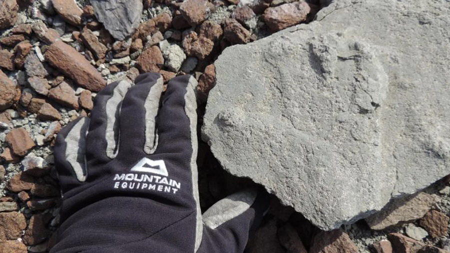 In an Antarctic expedition, researchers have discovered a fossilized dinosaur footprint approximately 200 million years old.