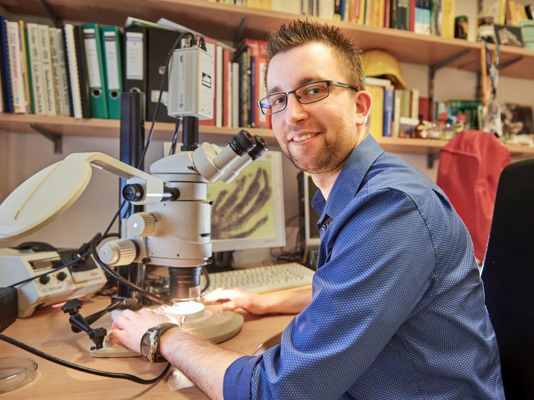 Jonas Barthel from the Institute for Geosciences at the University of Bonn at the microscope. Credit: © Volker Lannert/Uni Bonn