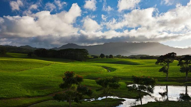 Jurassic Kahili Ranch - Kauai, Hawaii by Shuteru Photography