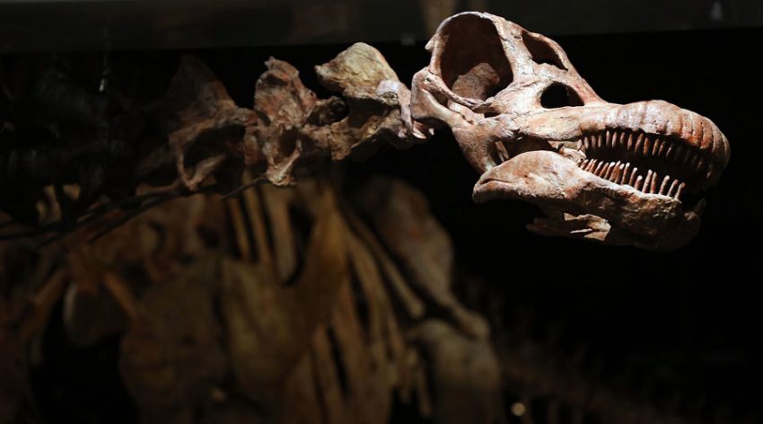 Meet Patagotitan, the Biggest Dinosaur Ever Found