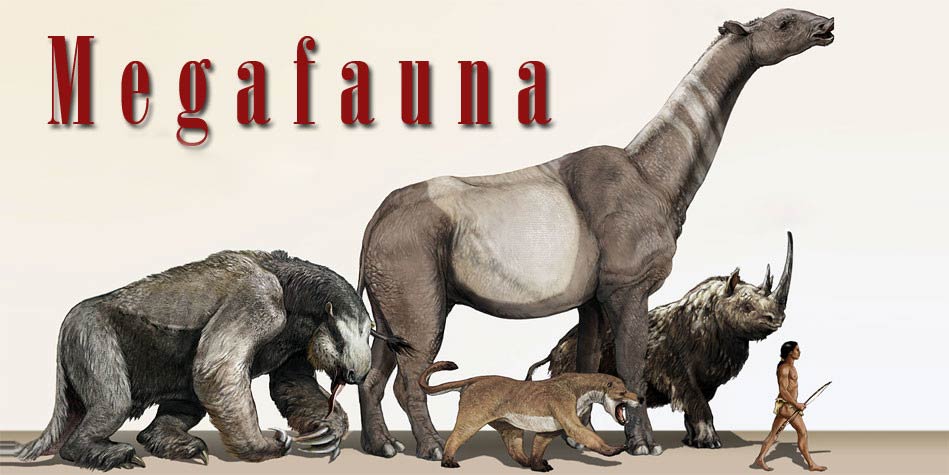 Megafauna