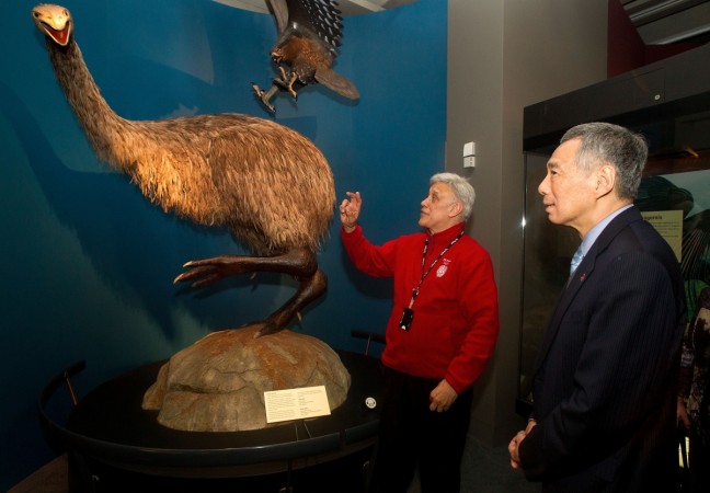 Museum host shows Singapore's Prime Minister Lee Hsien Loong a giant Moa bird during a visit to Te Papa Museum in Wellington. [Representational Image]