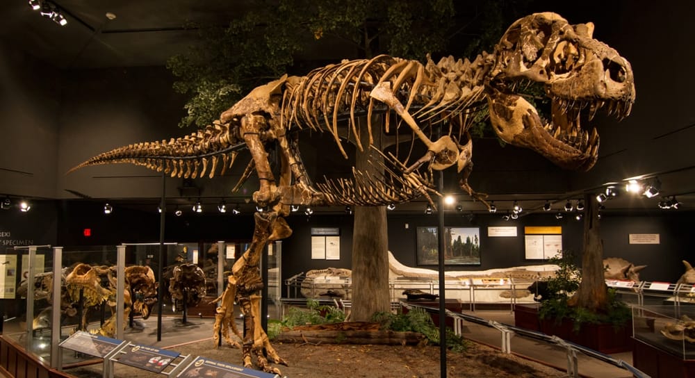 Museum of the Rockies, Bozeman, MT - Siebel Dinosaur Complex
