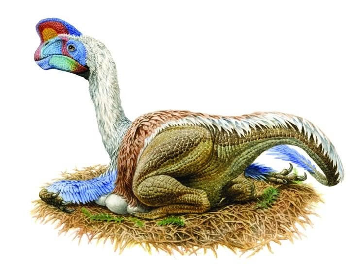 Oviraptor nesting
