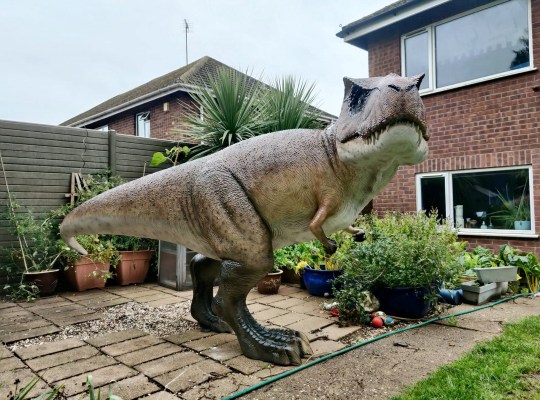 Dave the dinosaur Adrian Shaw / SWNS)