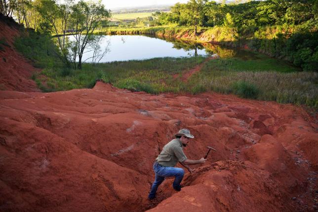Paleontologist Jose Darival Ferreira digs at an excavation site in Agudo, Brazil, on 3 December 2019. Photo: AFP