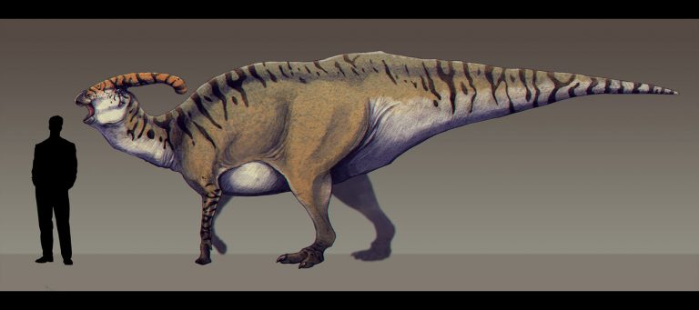 Parasaurolophus walkeri by Paleocolour
