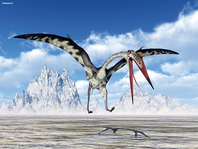 The largest pterosaurs had beaks that measured the same length as an adult human. It's thought that they may have been scavengers, a bit like modern-day vultures