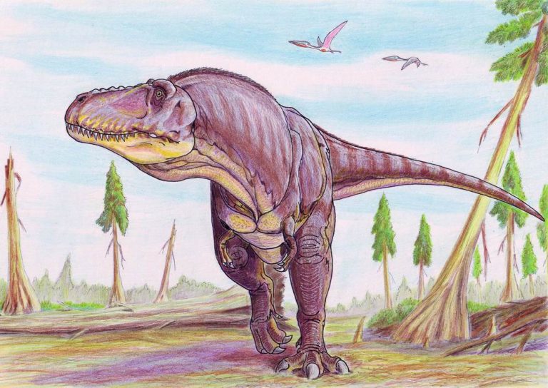 Restoration of Tarbosaurus in Late Cretaceous Mongolian environment by Dimitri Bogdanov