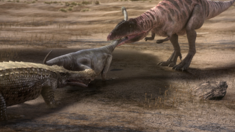 Sarcosuchus vs Carcharodontosaurus