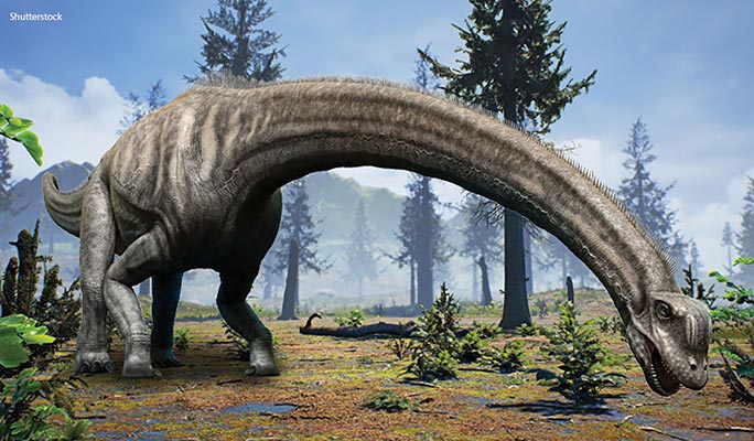 what's the largest dinosaur