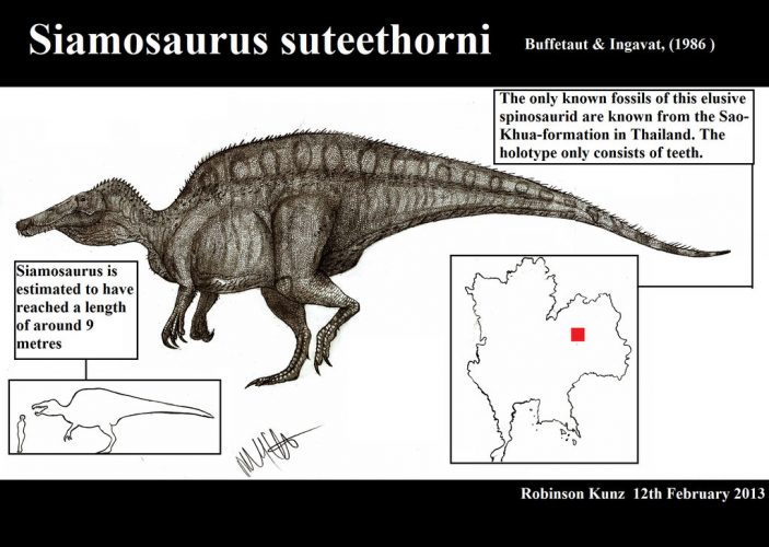 Siamosaurus suteethorni by Teratophoneus