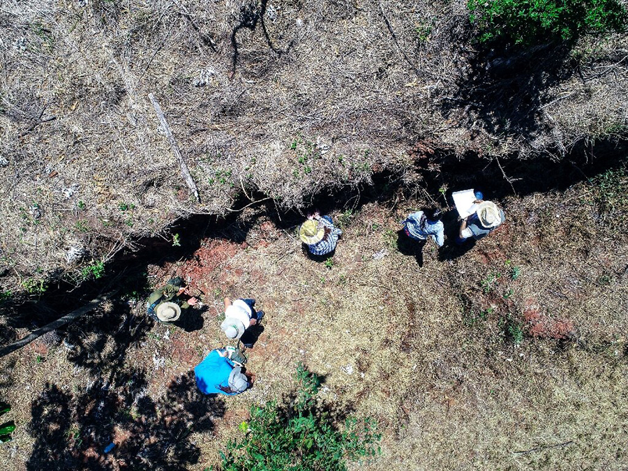 State University of Maringa paleontologists work at the site where fossilised bones of a dinosaur were found in Maringa, Parana state, Brazil