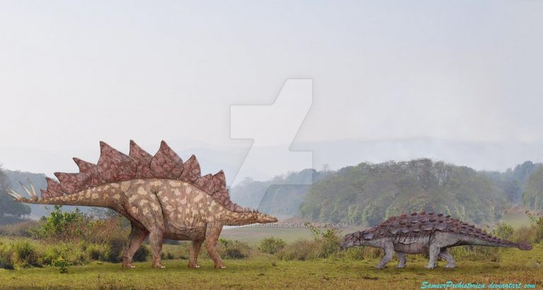 Stegosaurus vs Ankylosaurus by SameerPrehistorica