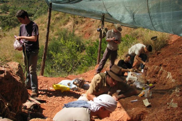 Steve Brusatte and colleagues excavating a site in Portugal. (Supplied: Steve Brusatte)