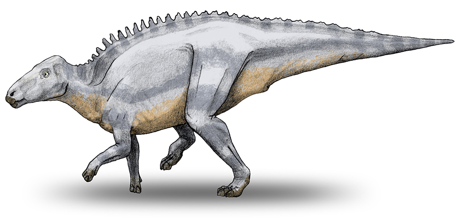 Restoration of Telmatosaurus by Debivort