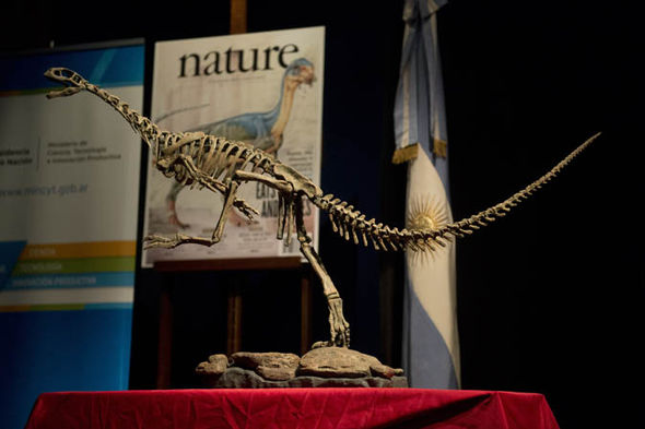 The Chilesaurus, which was discovered in southern Chile, was first described in 2015