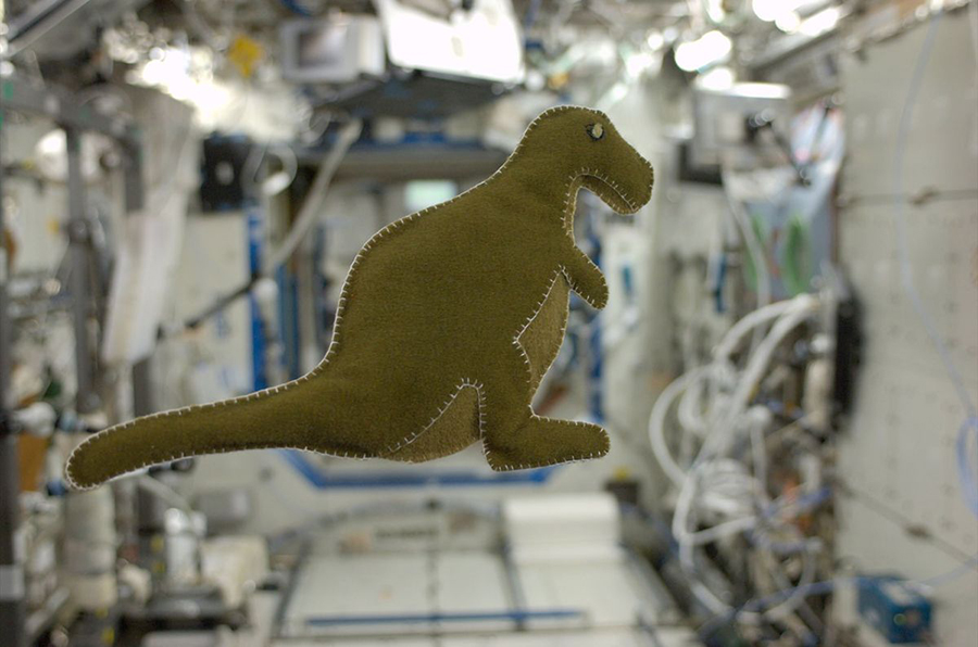 The dinosaur created by astronaut Karen Nyberg on the ISS. Photo: NASA
