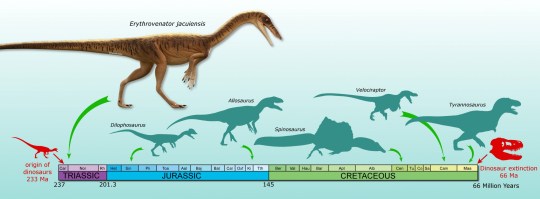 The discovery of Erythrovenator jacuien helped experts understand how theropods evolved (Credits: Márcio L. Castro / SWNS.COM)