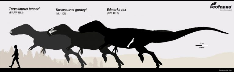 Torvosaurus vs ‘Edmarka’ by EoFauna