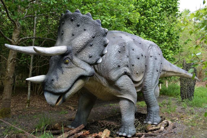 Triceratops was one of the dinosaurs discovered in North America in the 1880s by Othniel Charles Marsh during the Bone Wars. (Pixabay: Insa Osterhagen)