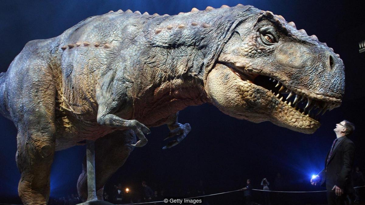 Tyrannosaurs might have hung on until the present day (Credit: Getty Images)