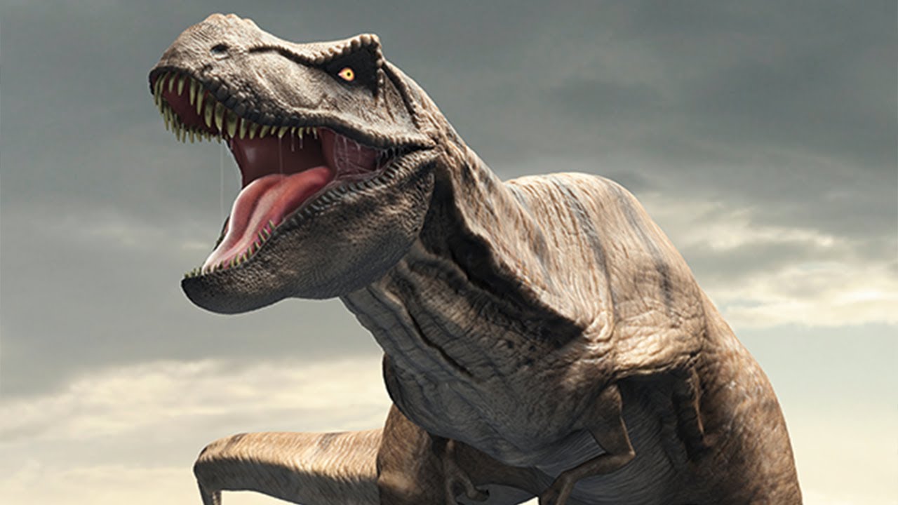 new tyrannosaurus rex discovery