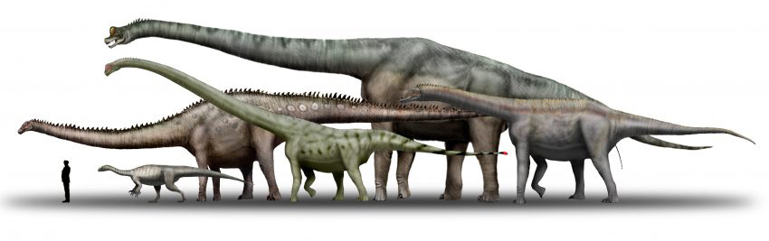 Which Dinosaur Was the Biggest?