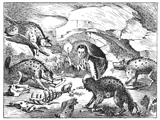 William Conybeare drew this cartoon of Buckland poking his head into a prehistoric hyaena den in 1822 to celebrate Buckland’s ground breaking analysis of the fossils found in Kirkdale Cave.