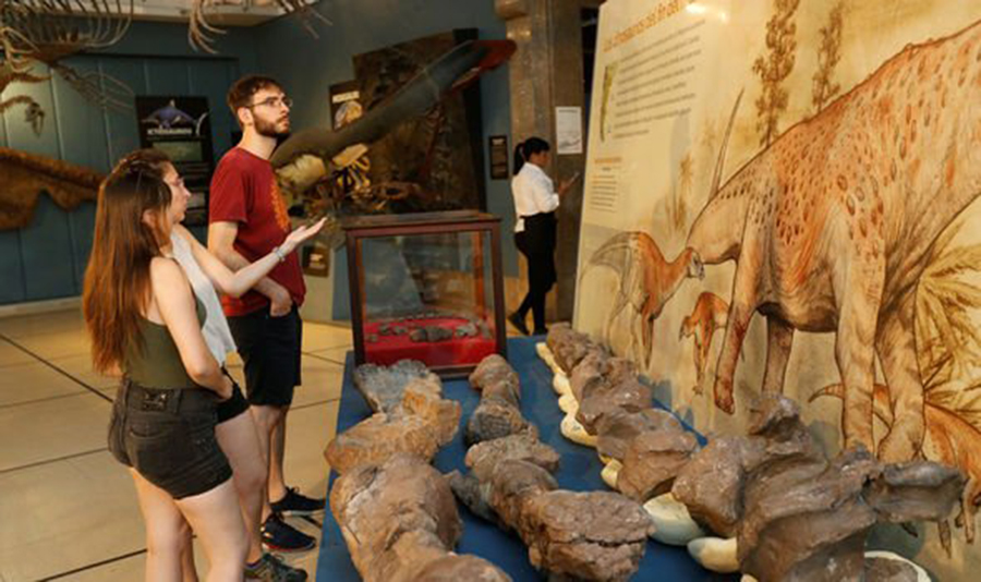 The remains are on display in the Museo Argentino de Ciencias Naturales Bernardino Rivadavia (Image: REUTERS)