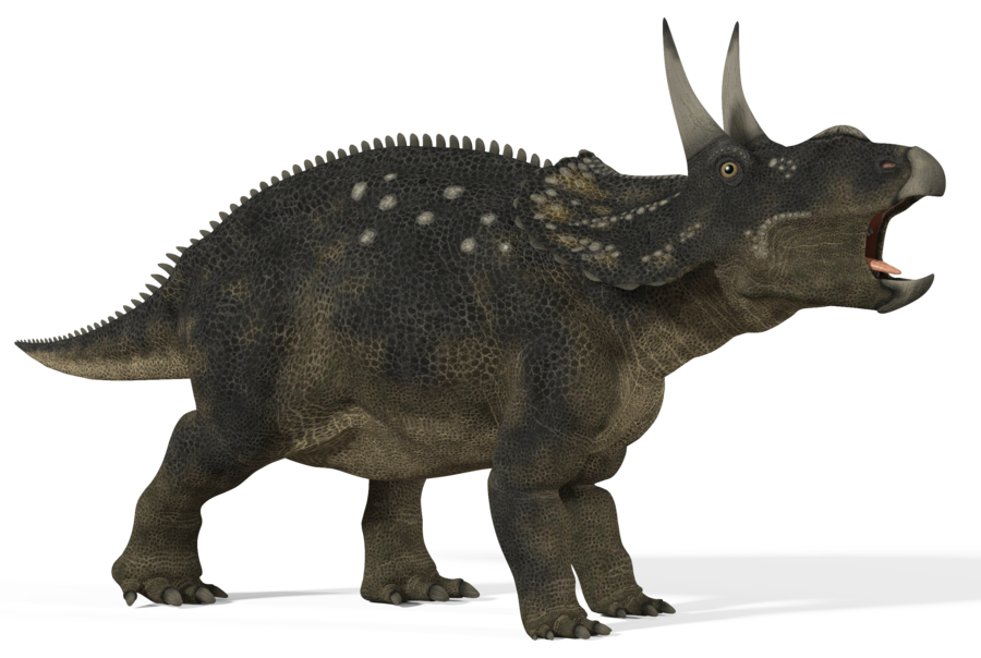 Diceratops_01 by 2ndecho