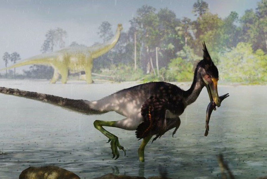 An artist’s reconstruction of two individuals of Ypupiara lopai foraging in an alluvial river, the setting of the Marilia Formation during the Maastrichtian age of the Cretaceous period. Image credit: Guilherme Gehr.