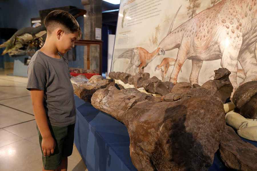 A young visitor at the Museo Argentino de Ciencias Naturales. REUTERS
