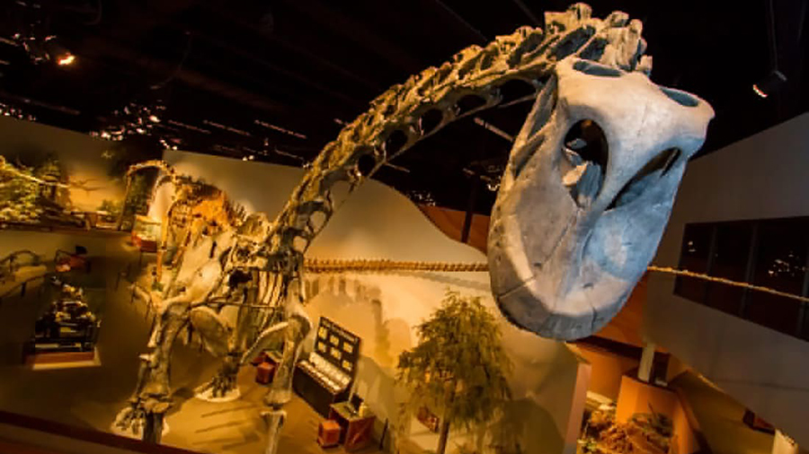 The Museum of Ancient Life is home to one of the world's largest dinosaur displays. Courtesy the Museum of Ancient Life