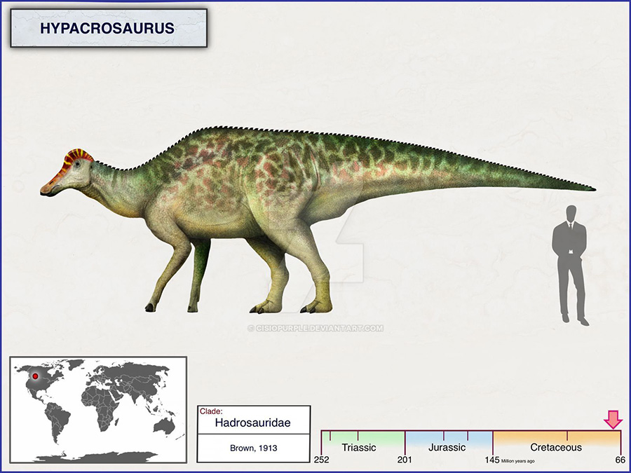 Hypacrosaurus by cisiopurple  