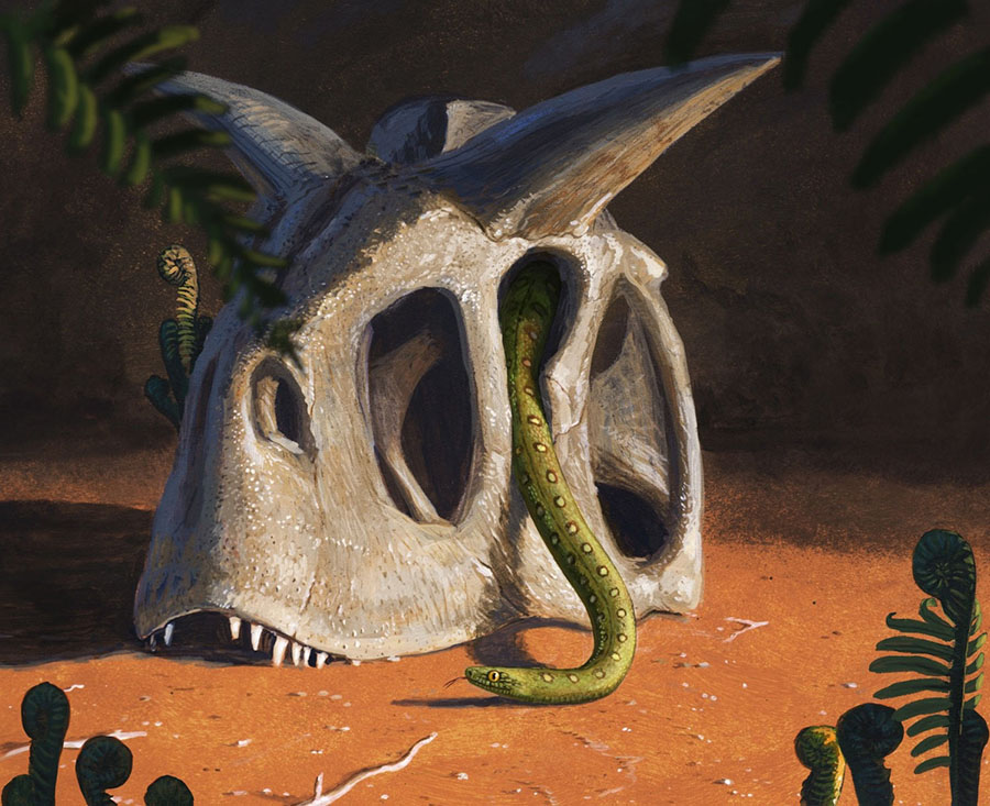 Somewhere in Gondwanaland, a snake explores the post-extinction world of the Early Paleocene epoch. Image credit: Joschua Knüppe.