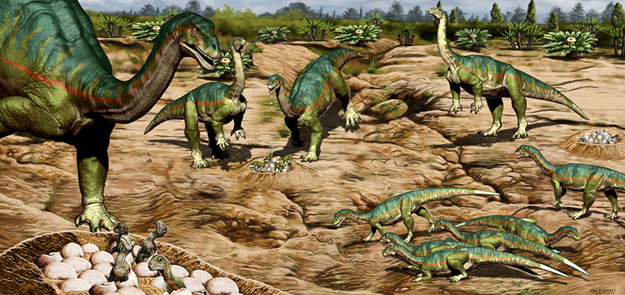 Reconsturction of Mussaurus patagonicus herd. Image credit: Jorge Gonzalez.