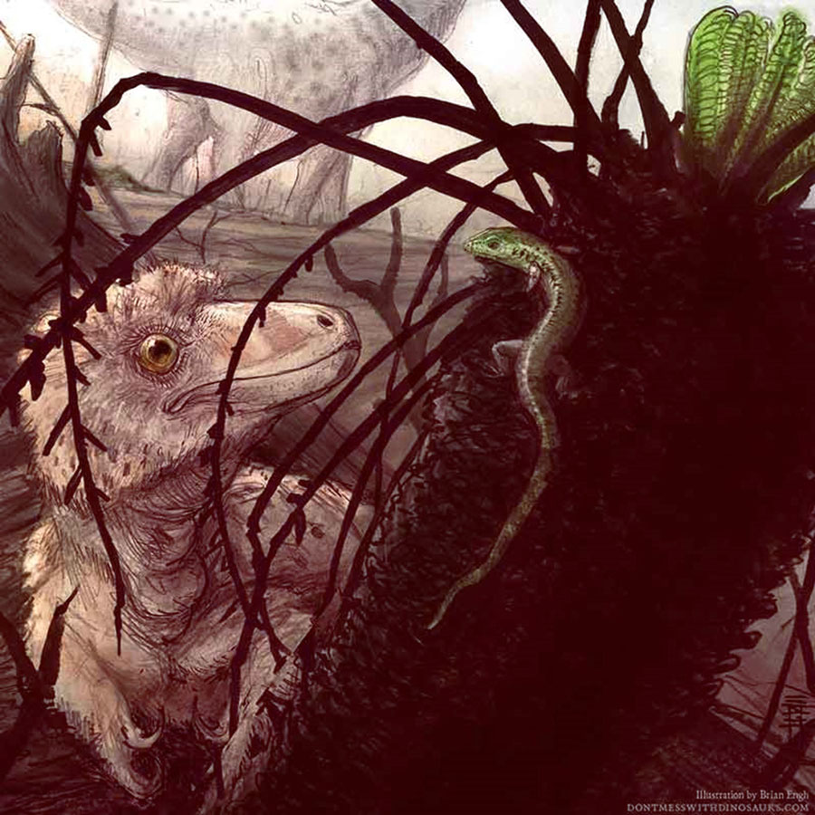 An illustration of Sciroseps pawhuskai. Image credit: Brian Engh.