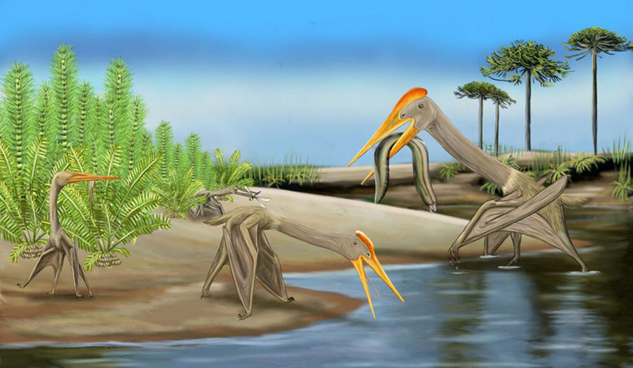 An artist’s impression of hatchling pterosaurs. Image credit: Megan Jacobs.