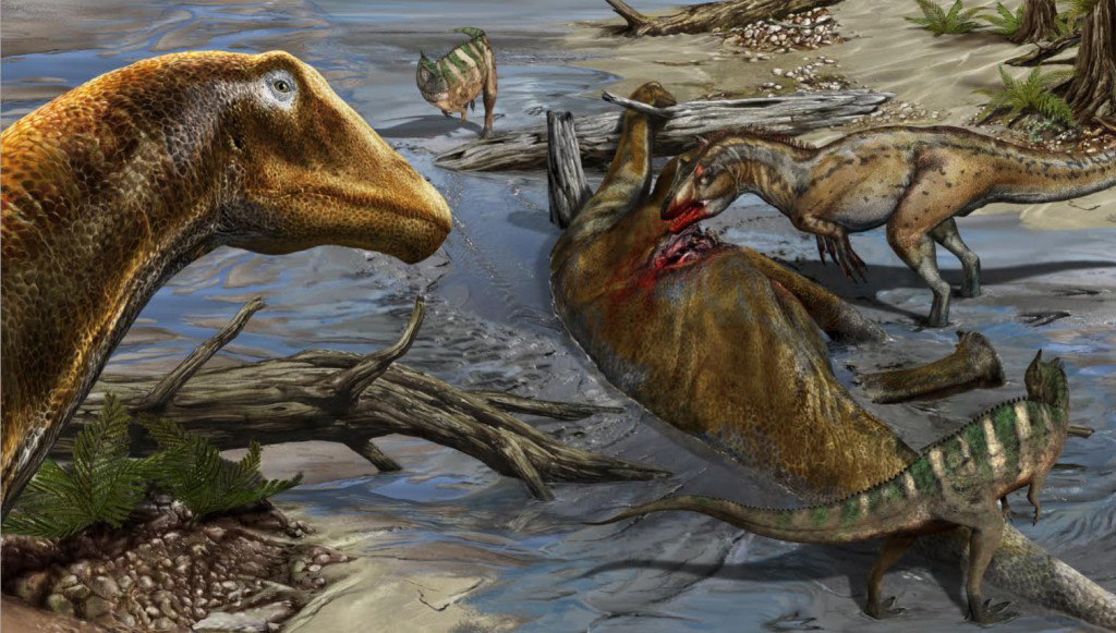 An Allosaurus and two Ceratosaurus are feeding on a carcass of Galeamopus pabsti. Image credit: Davide Bonadonna.